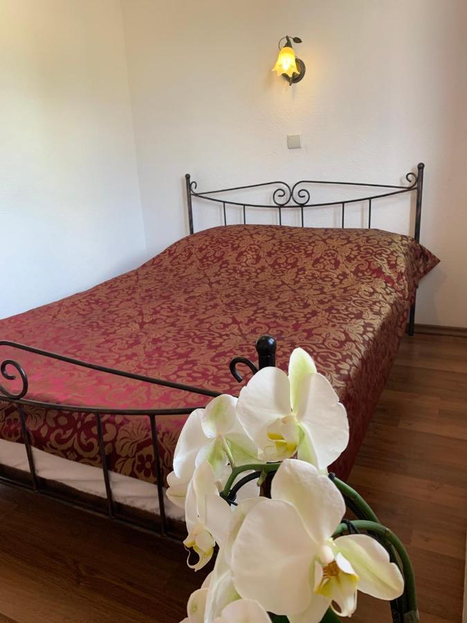 Villa Remedios Łeba Εξωτερικό φωτογραφία